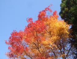 匴














        O@O