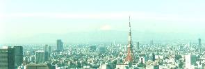 @Mt.Fuji & Tokyo Tower from St.Luke Tower Bld.